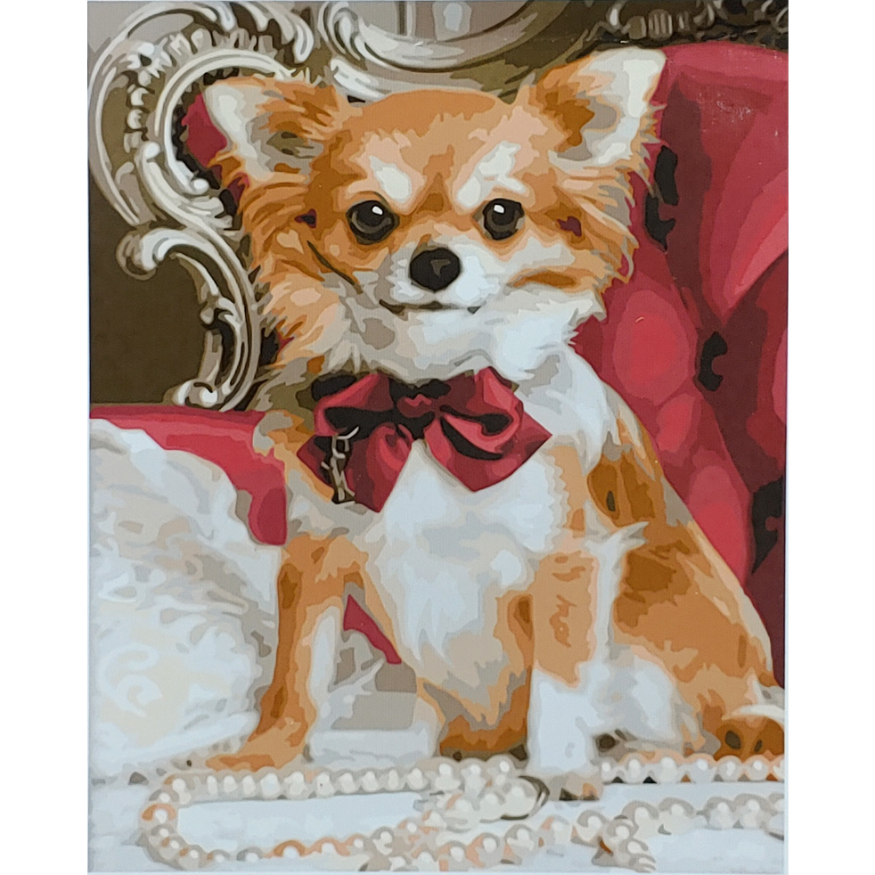 Little Chihuahua mit Lack