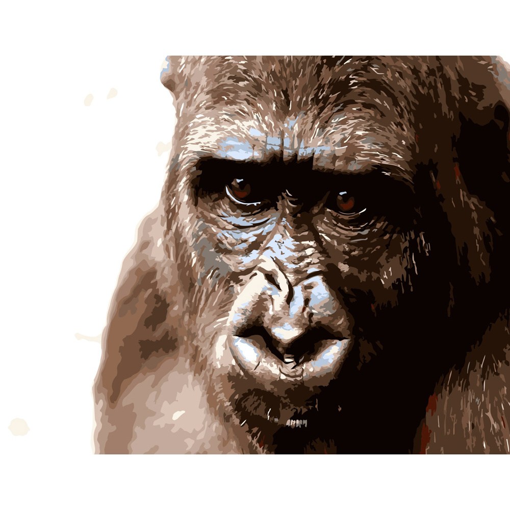 Картина по номерам ПРЕМИУМ Кинг-Конг