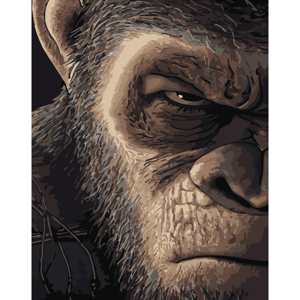 Картина по номерам ПРЕМИУМ Злой взгляд