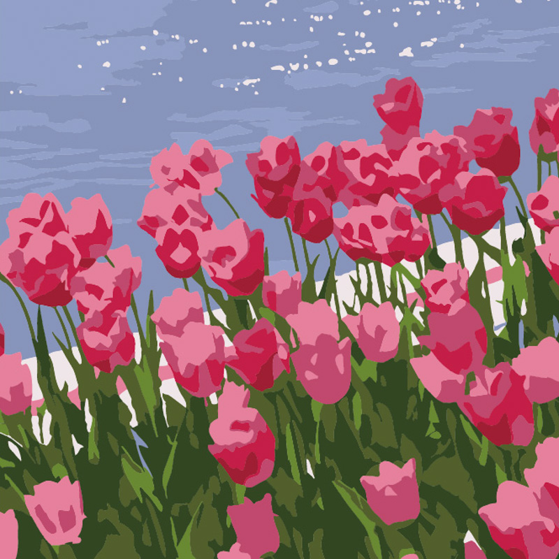 Картина за номерами Тюльпанчики