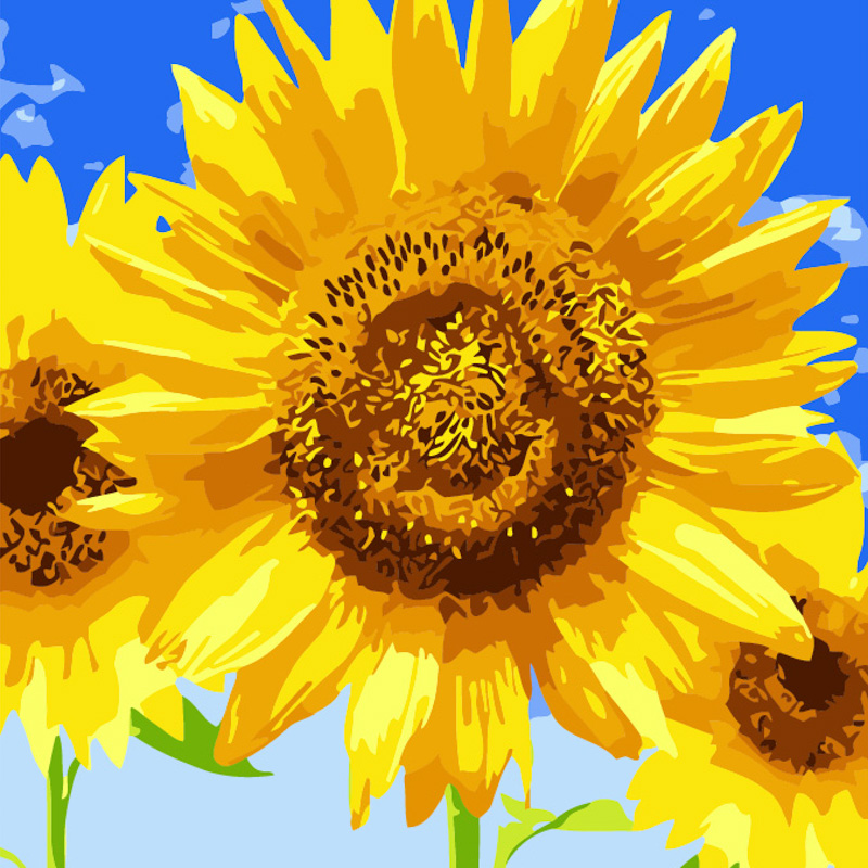 Картина за номерами Соняшник