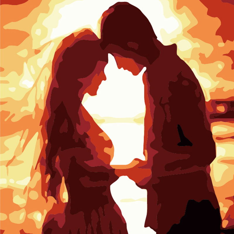 Картина за номерами Палке кохання