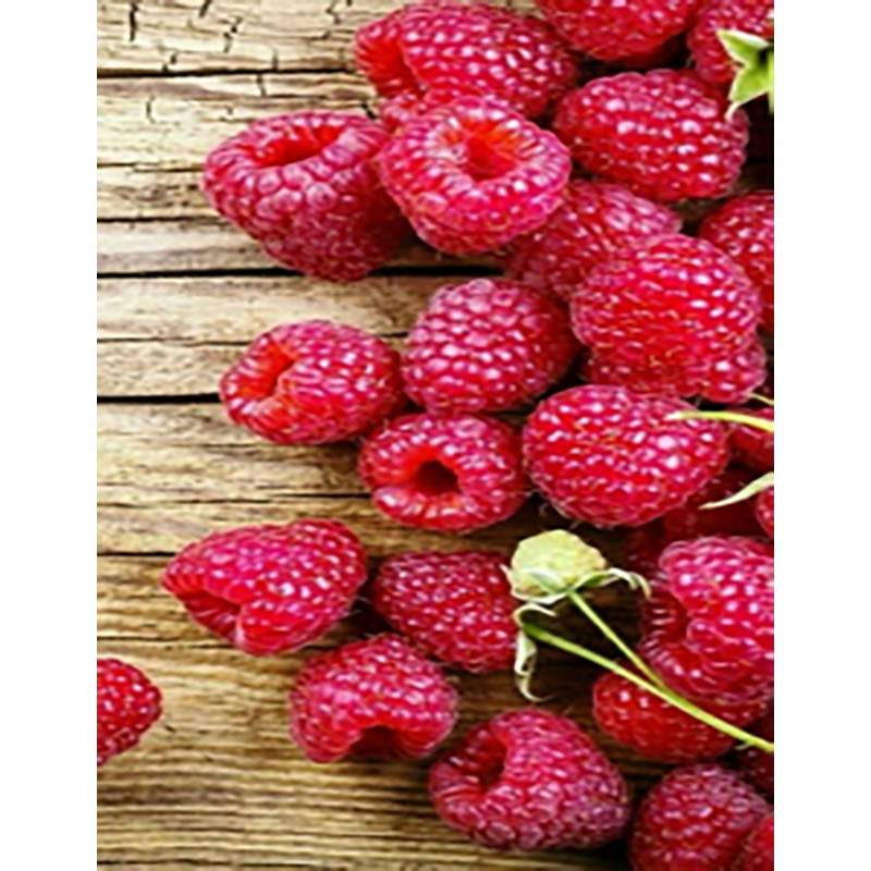 Diamantmosaik PREMIUM Saftige Himbeere rahmenlos