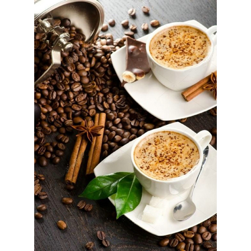 Алмазна мозаїка ПРЕМІУМ Зустріч на каву без підрамника