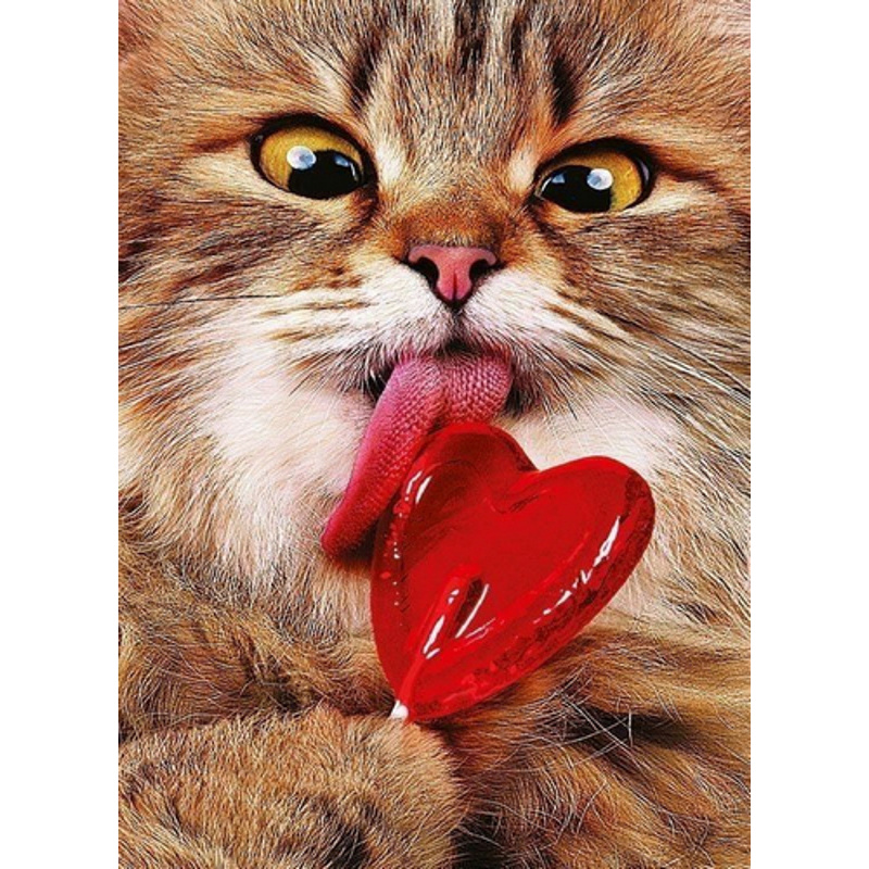 Diamantmosaik PREMIUM Katze mit Lutscher ohne Rahmen