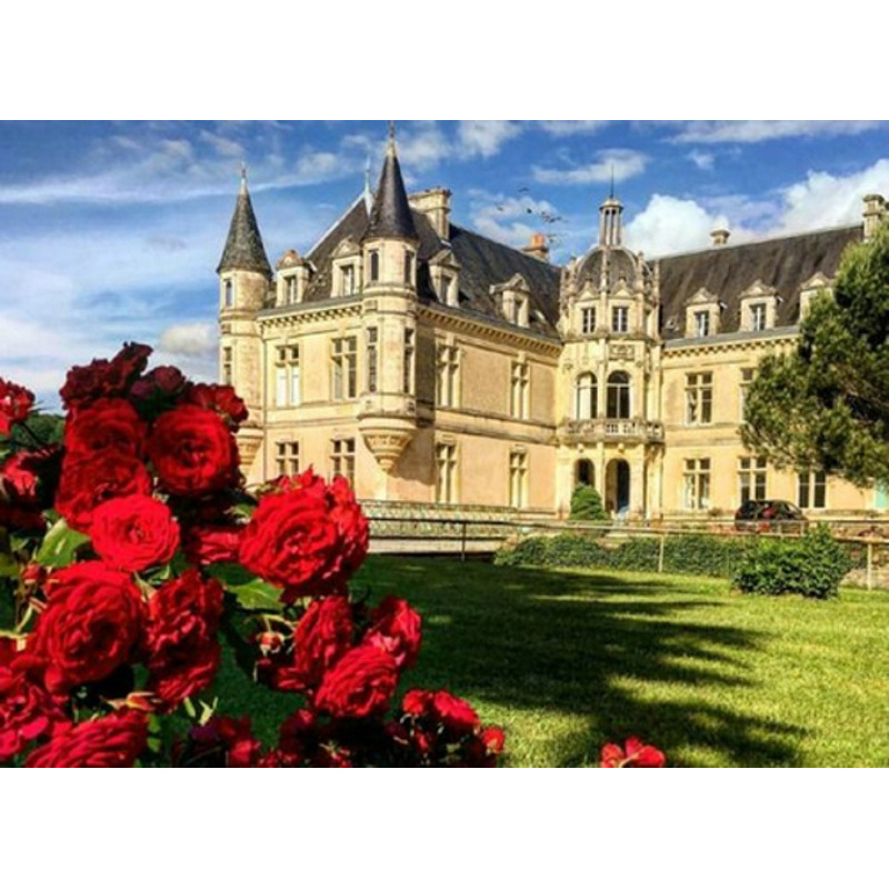 Алмазная мозаика ПРЕМИУМ Замок залитый солнцем без подрамника