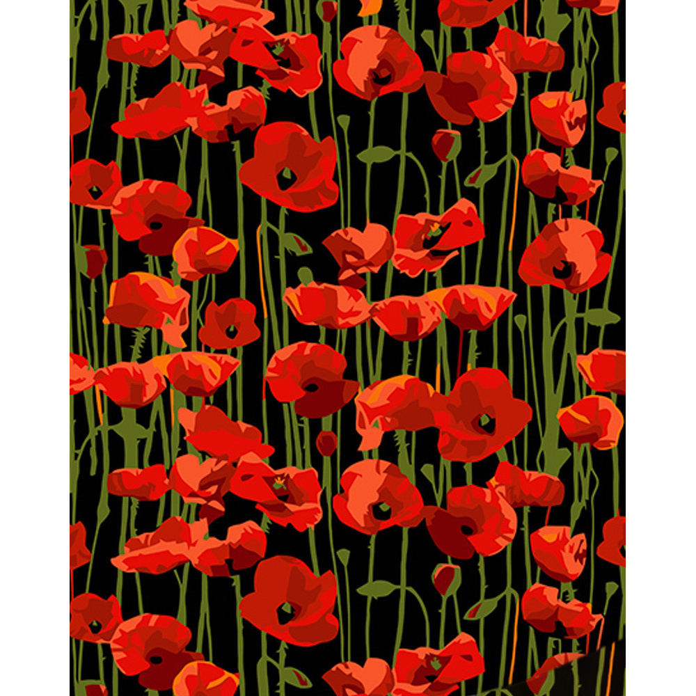 Mohnfeld auf schwarzem Hintergrund,