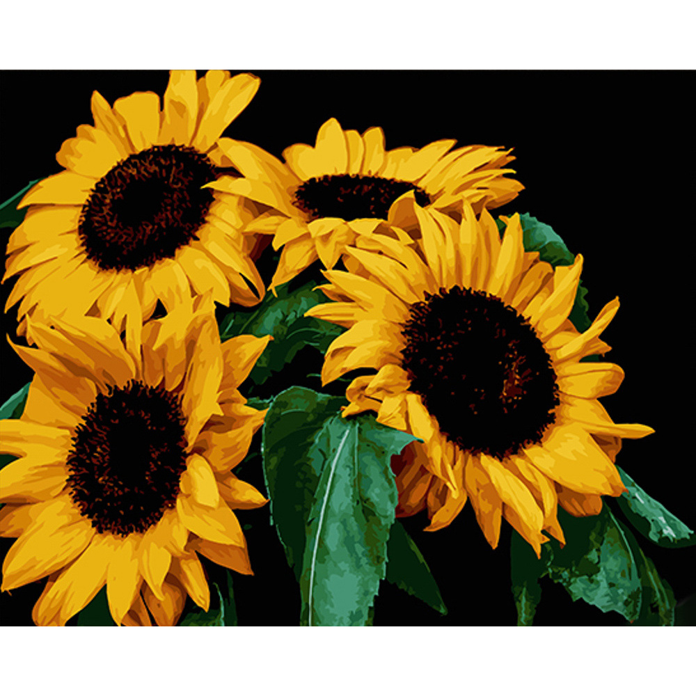 Sunflowerson a black background