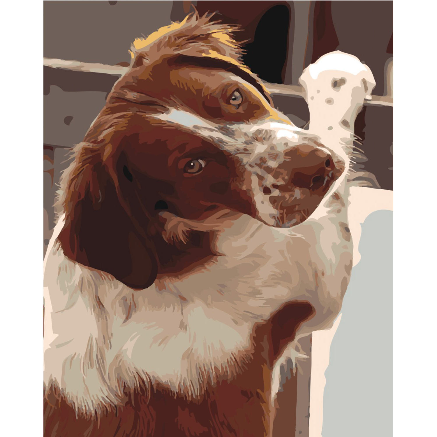 A close look on a colored background, size