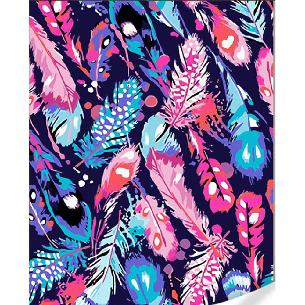 Картина по номерам Разноцветные перья на цветном фоне