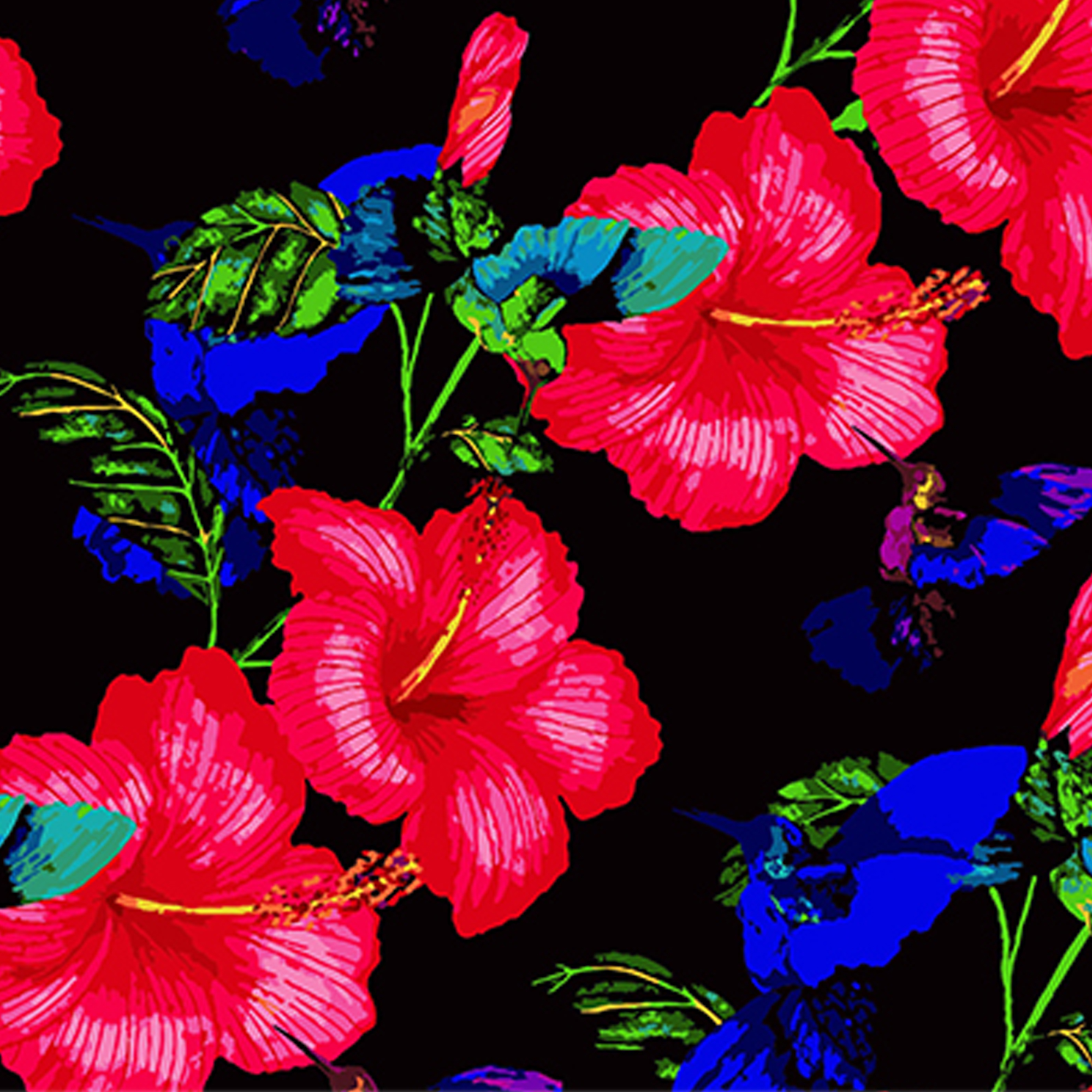 Hibiskus Luxus auf schwarzem Hintergrund