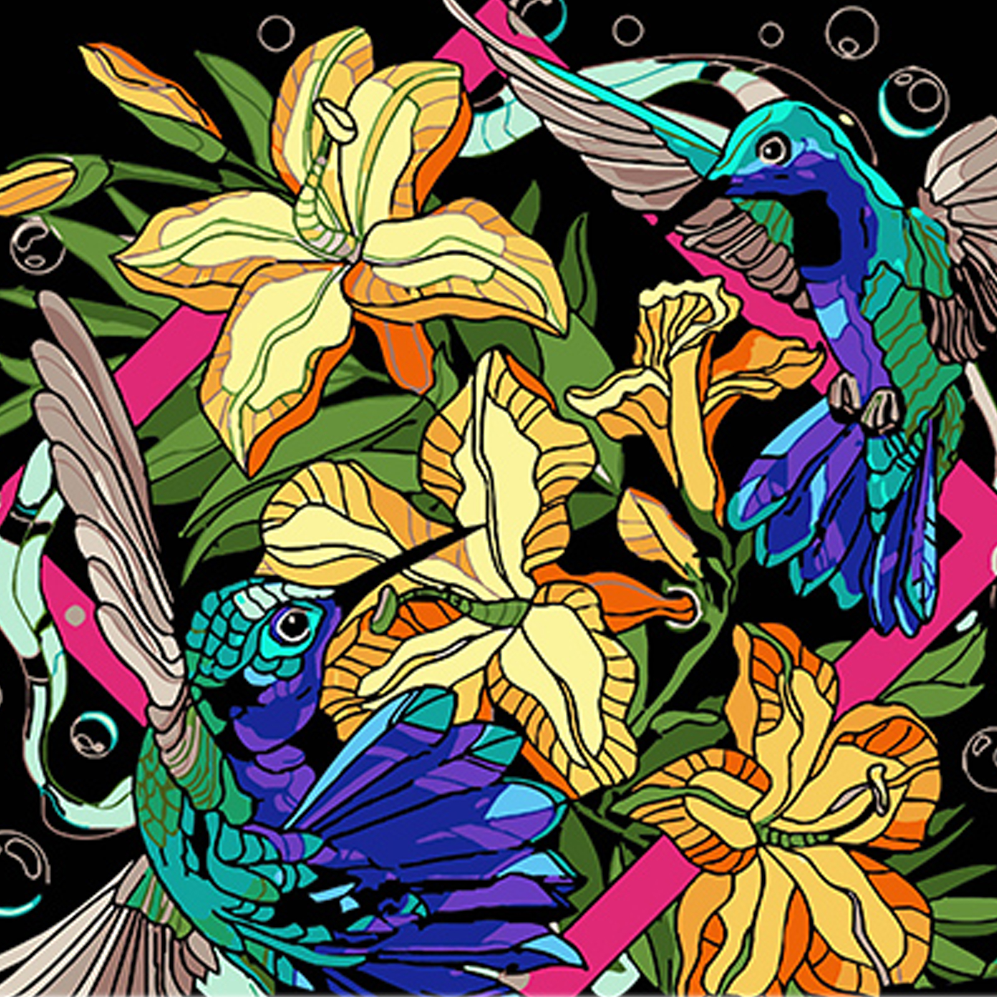 Картина по номерам ПРЕМИУМ Колибри в ярких тонах на черном фоне