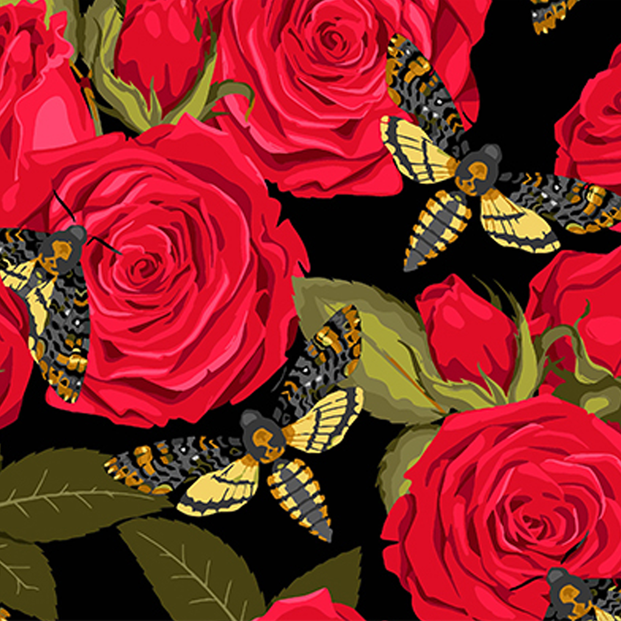 Red roses with butterflies on a black background size