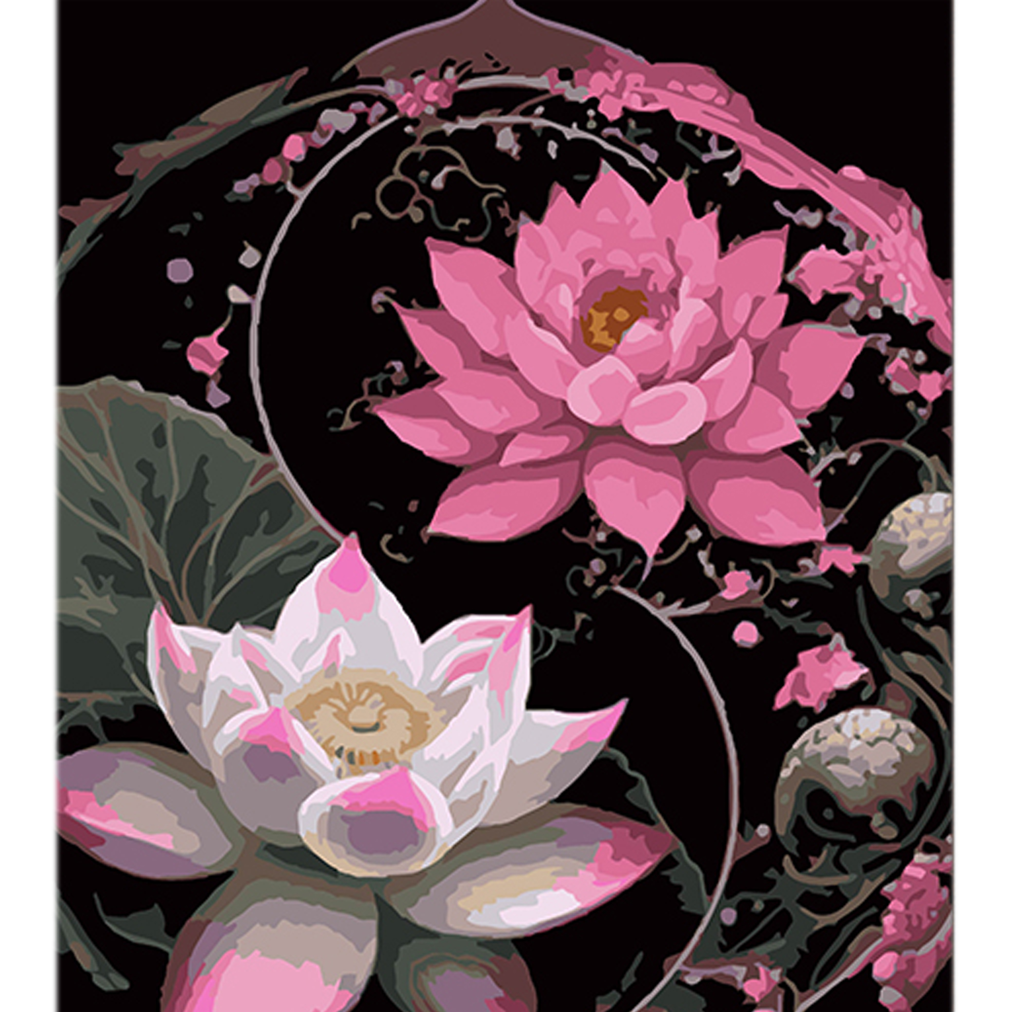 Blühender Lotus auf schwarzem Hintergrund, 40 x 50 cm (AH1113)