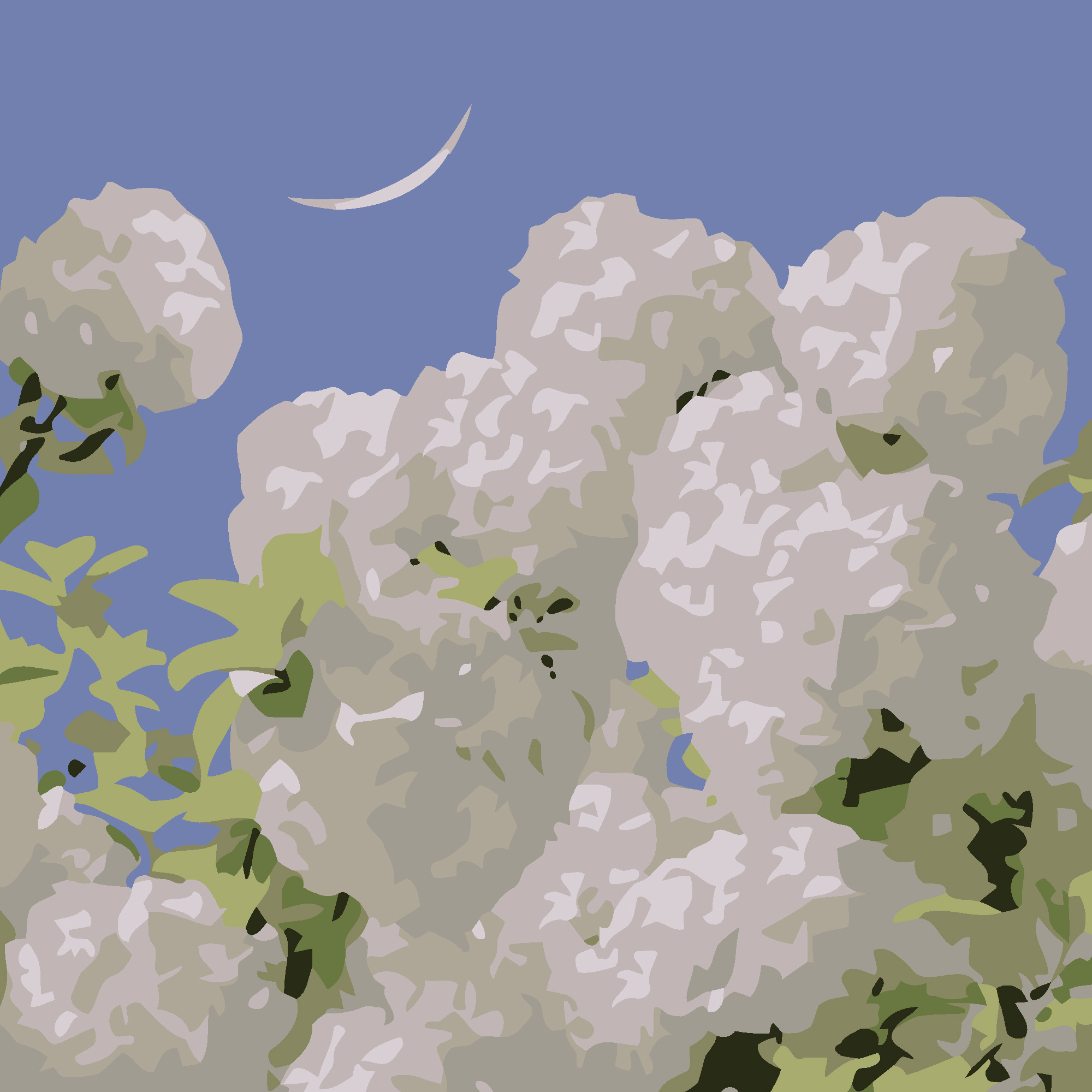 Картина за номерами Білі гортензії