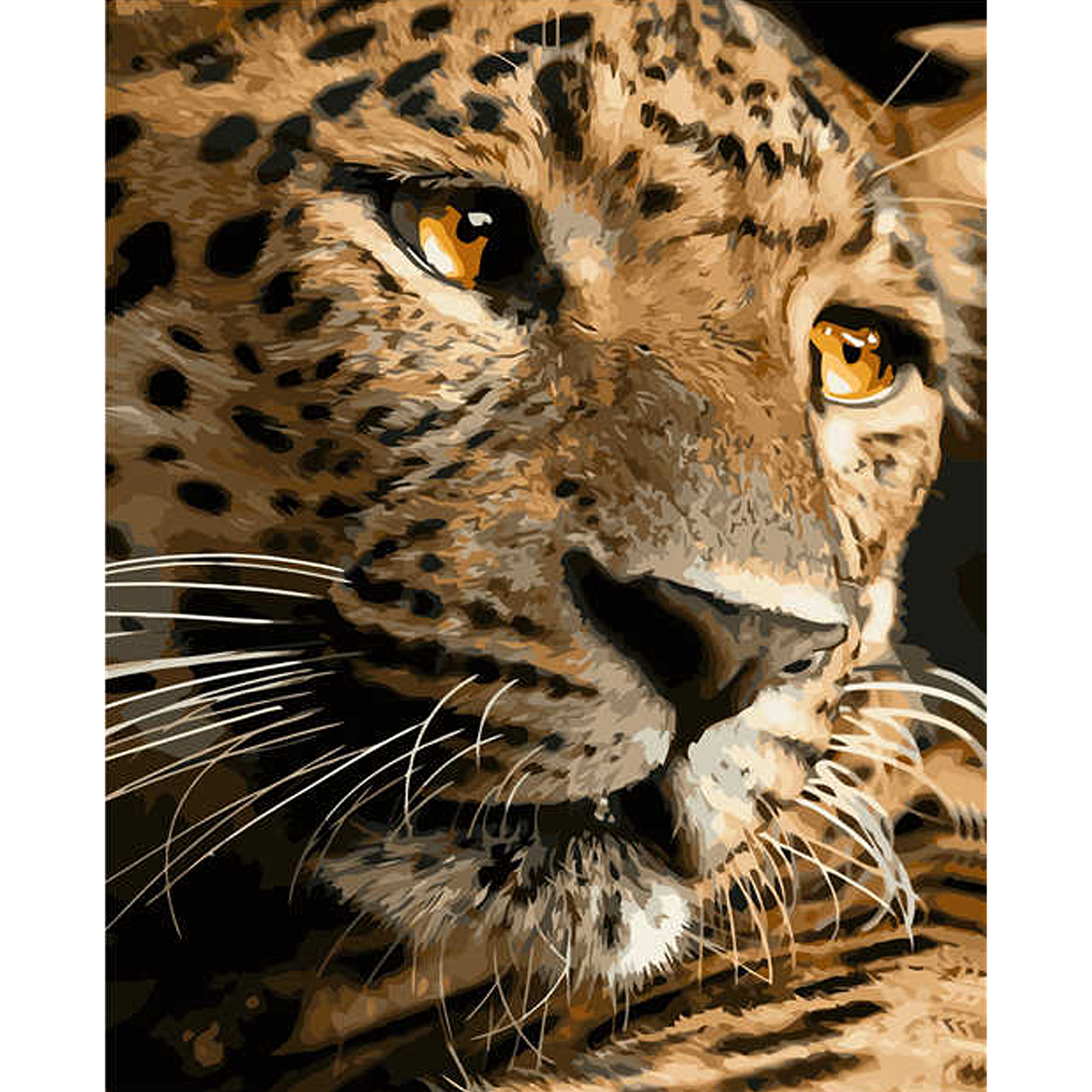 Far Eastern leopard with varnish and level size