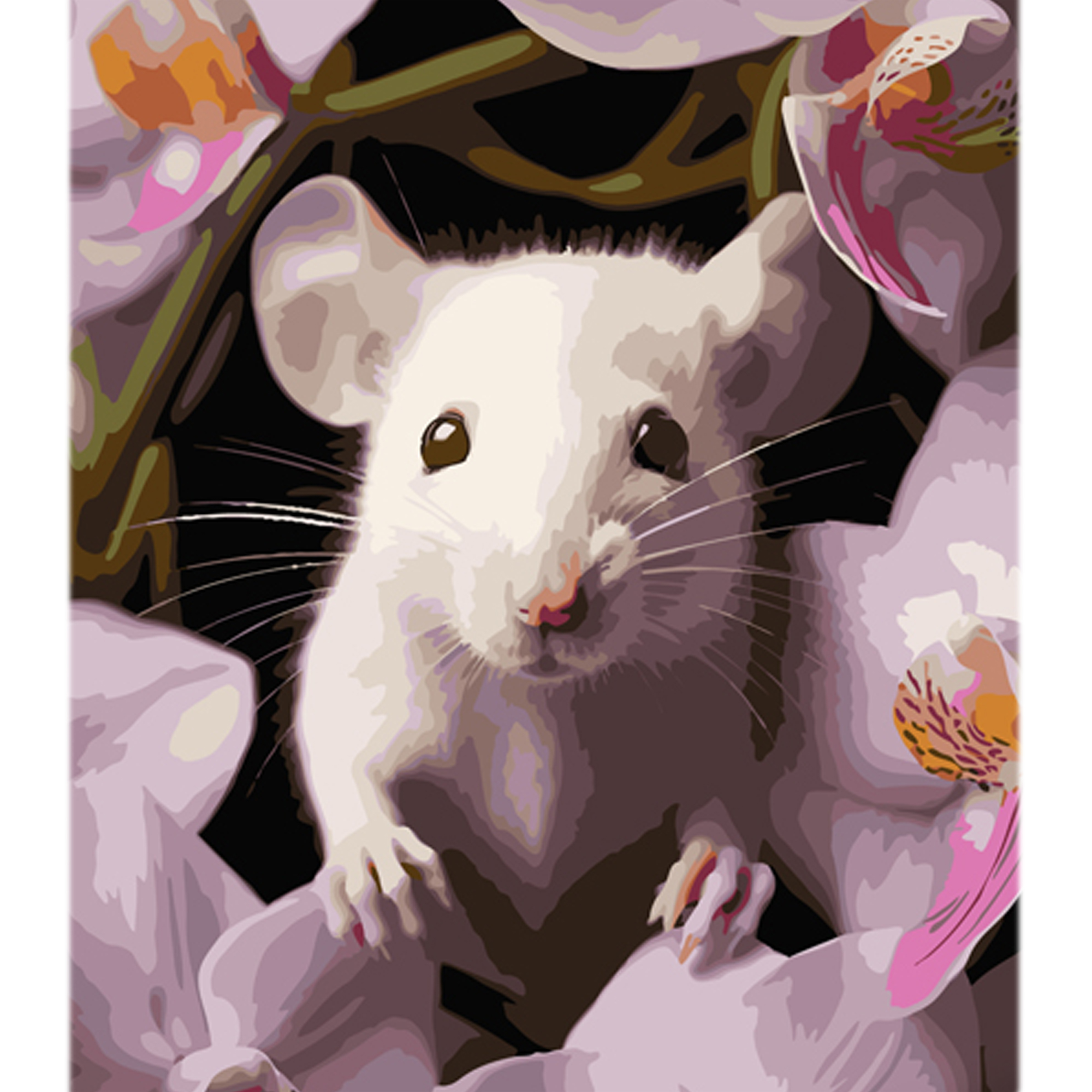 Картина за номерами Мишеня з орхідеєю на кольоровому фоні