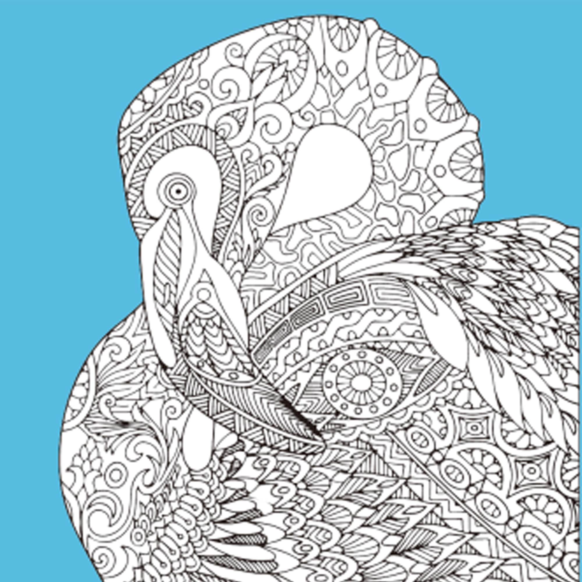 Набір для розпису-антистрес Чарівний птах