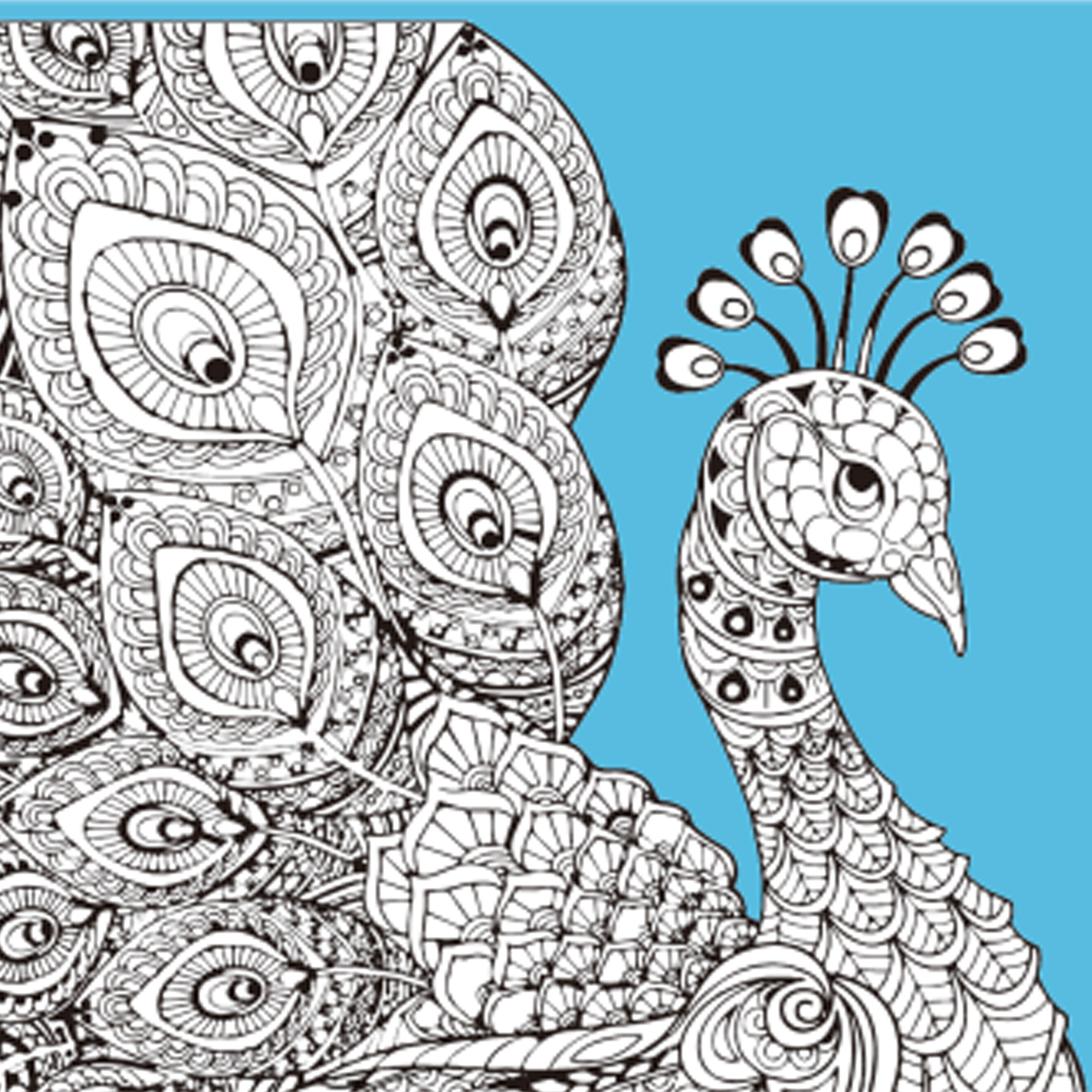 Набір для розпису-антистрес Барви пір'я