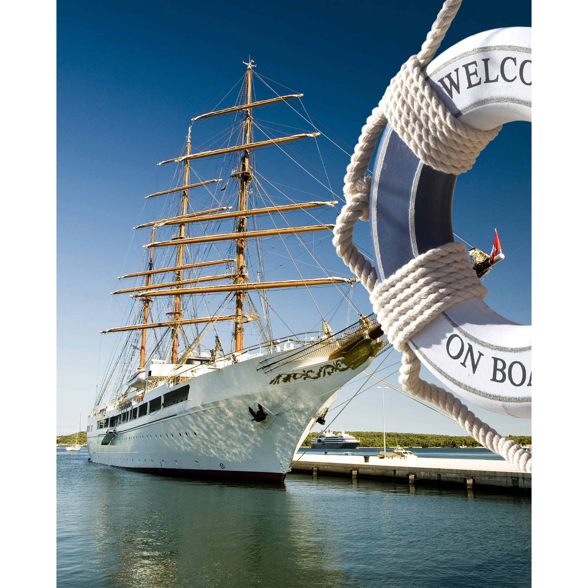 Алмазна мозаїка ПРЕМІУМ На хвилях свободи