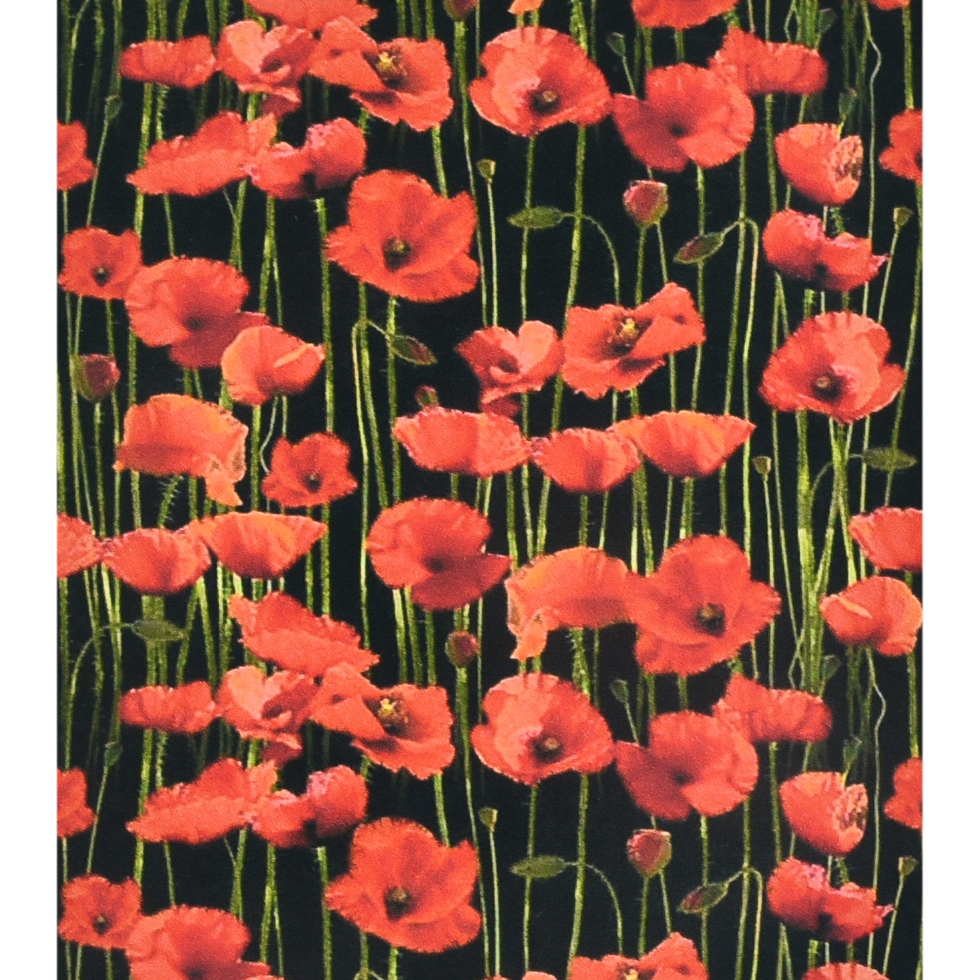 Алмазна мозаїка ПРЕМІУМ Макове поле