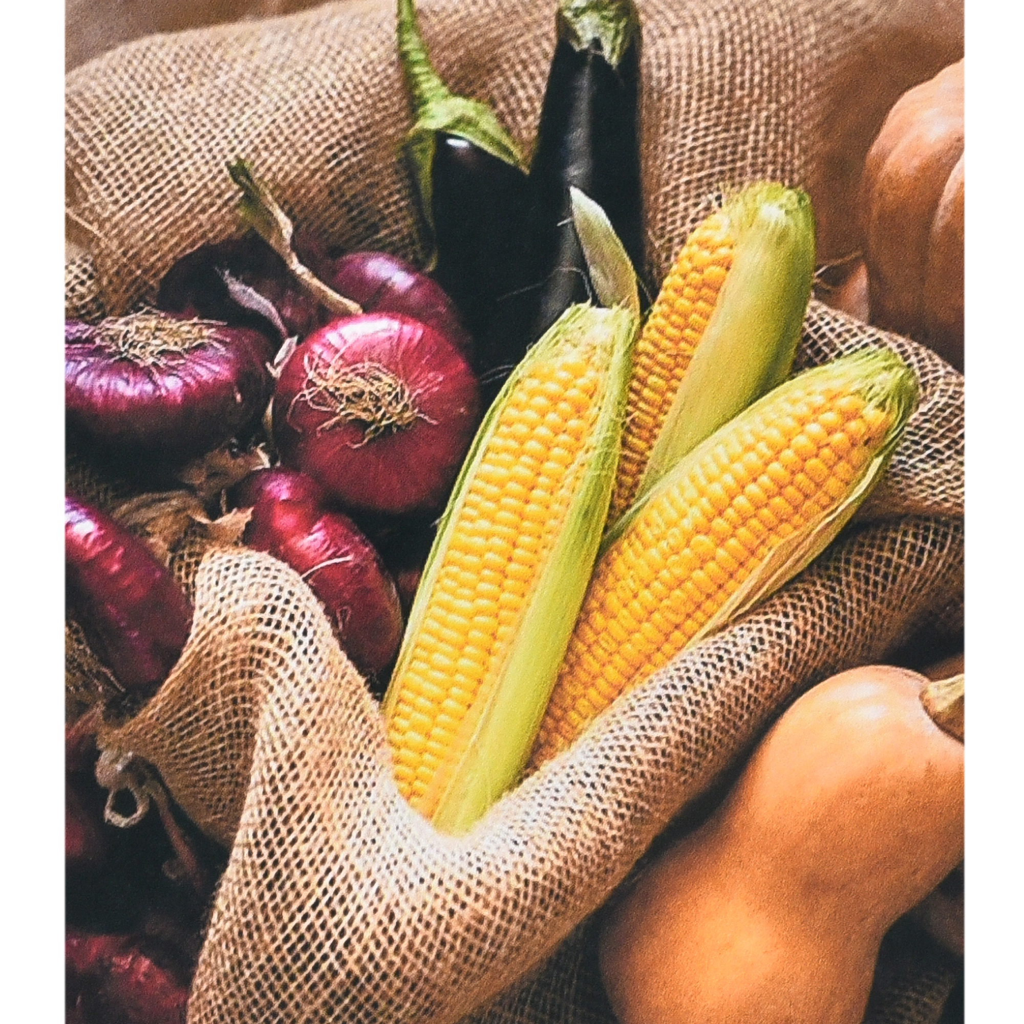 Fruits of Labor size