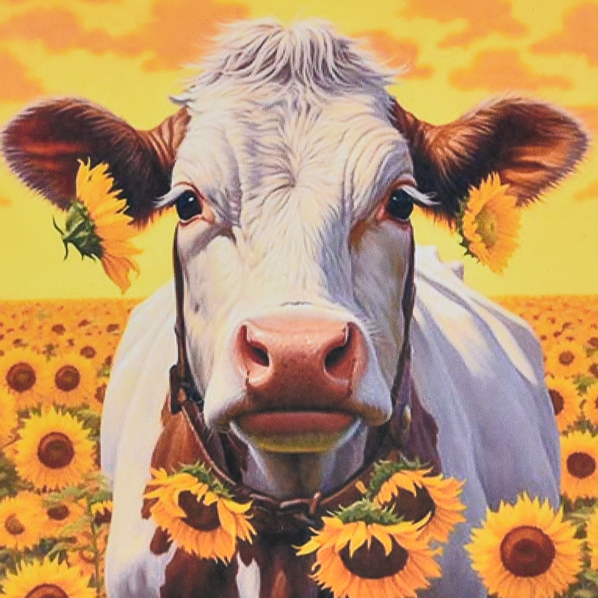 Cow on the background of boundless nature, size