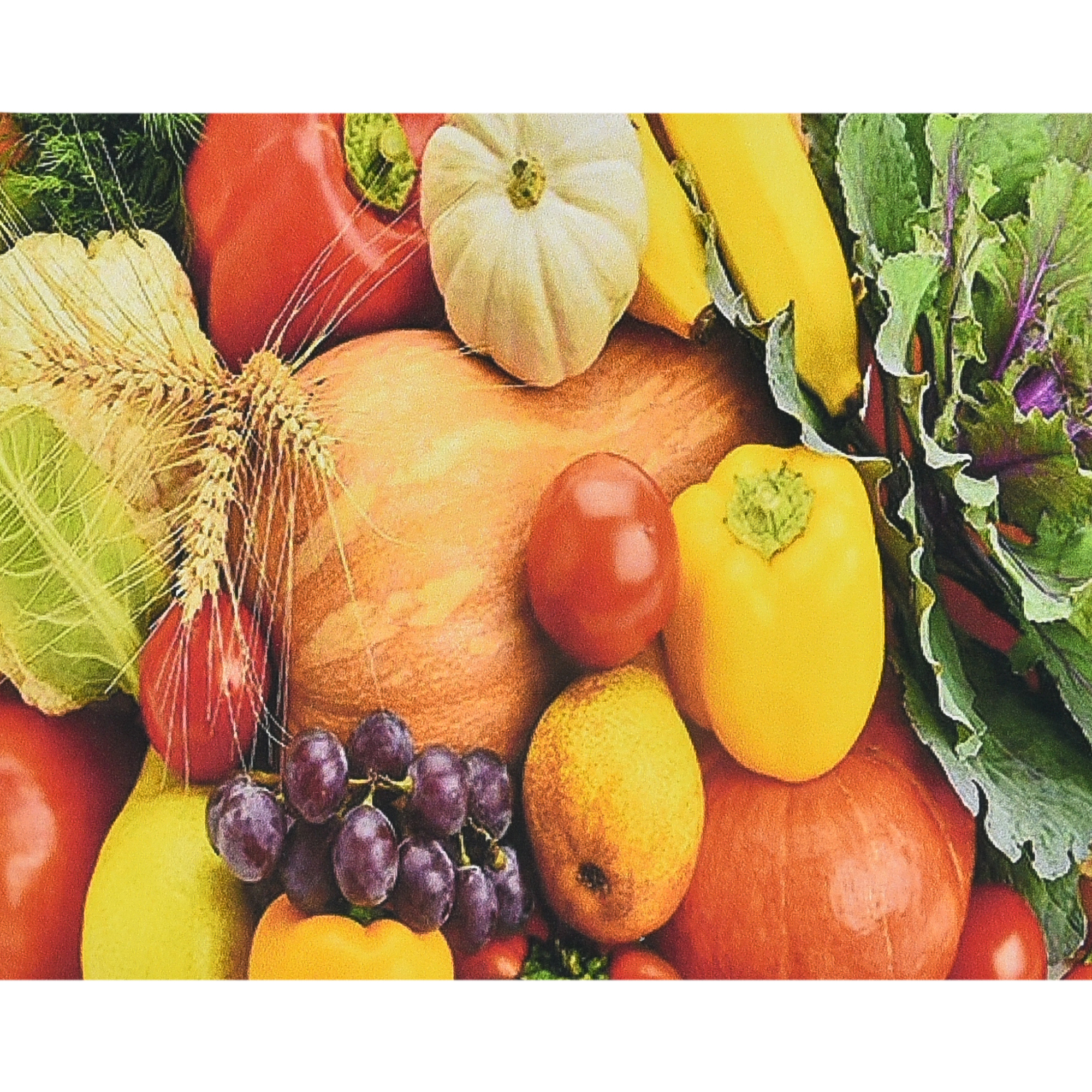 World of tastes size