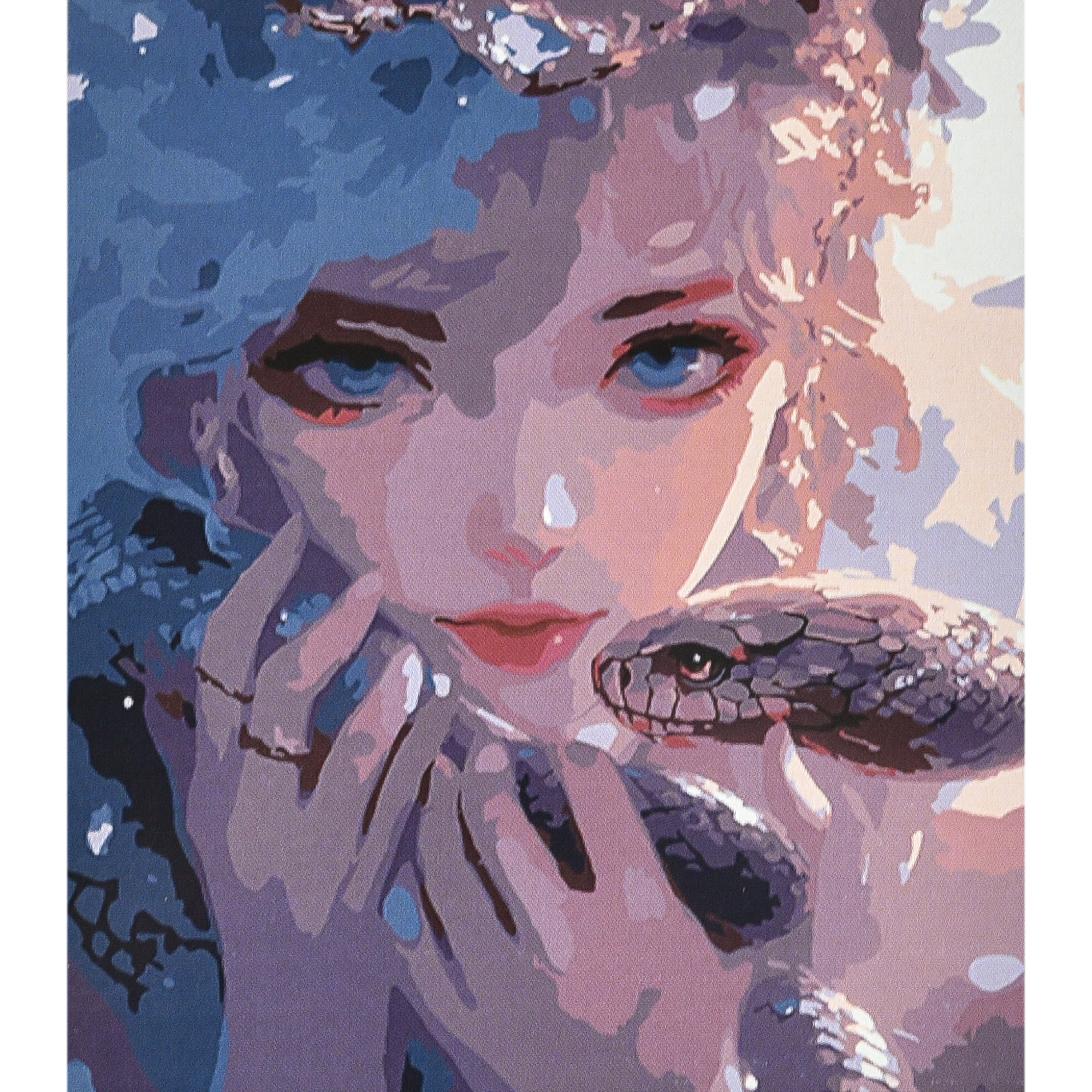 Картина за номерами ПРЕМІУМ Магія і небезпека з лаком та рівнем