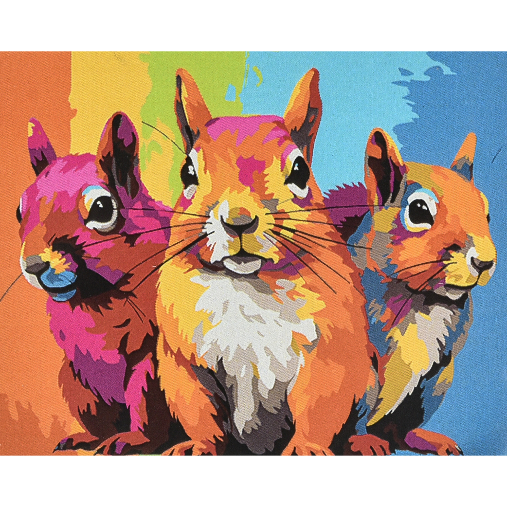 Картина за номерами ПРЕМІУМ Кольорові пригоди білок з лаком та рівнем