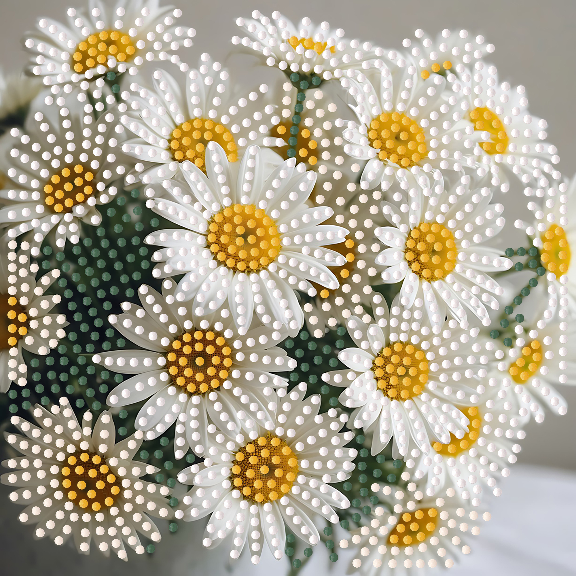 Алмазна мозаїка ПРЕМІУМ Літні ромашки на паперовій основі