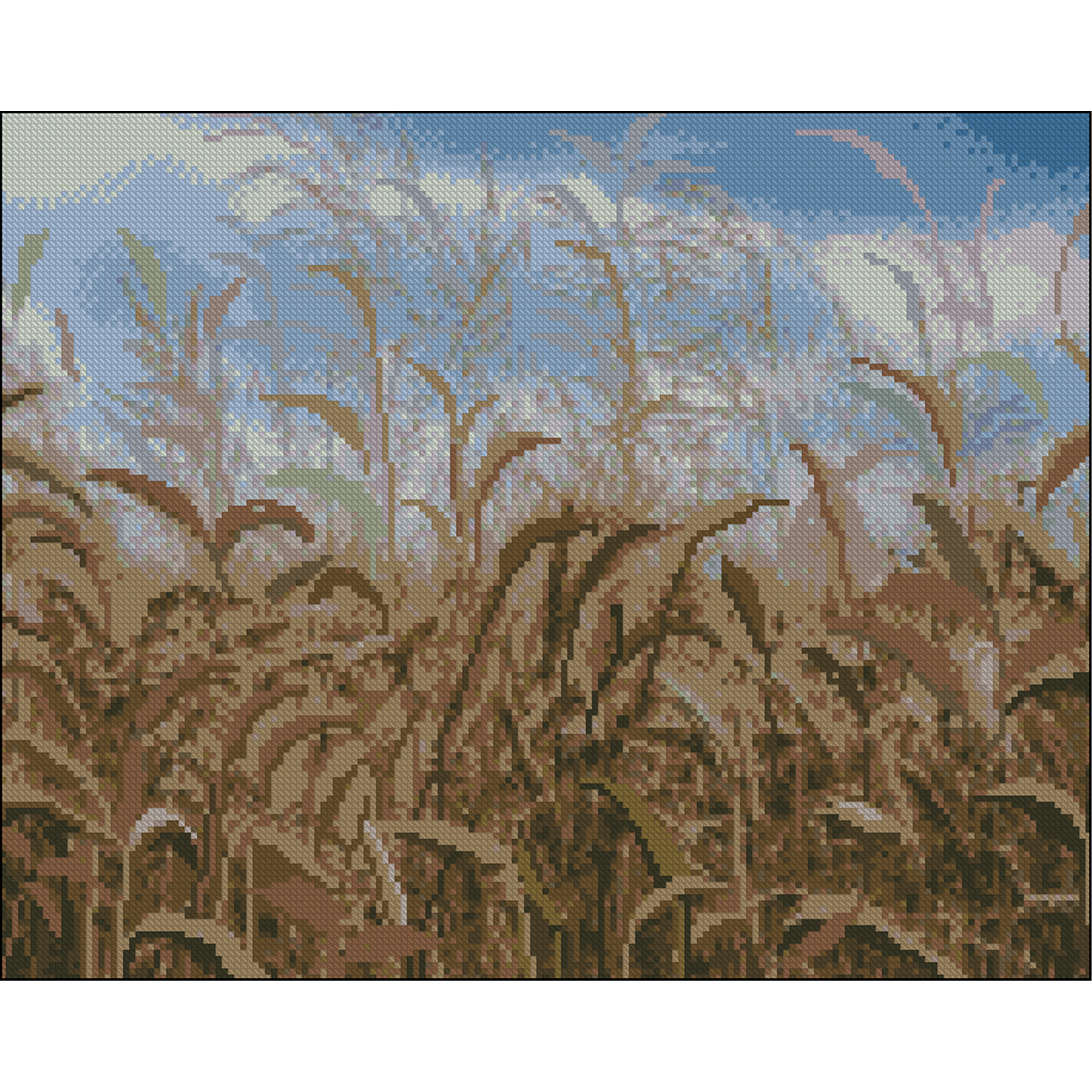 Wheat field without a frame size