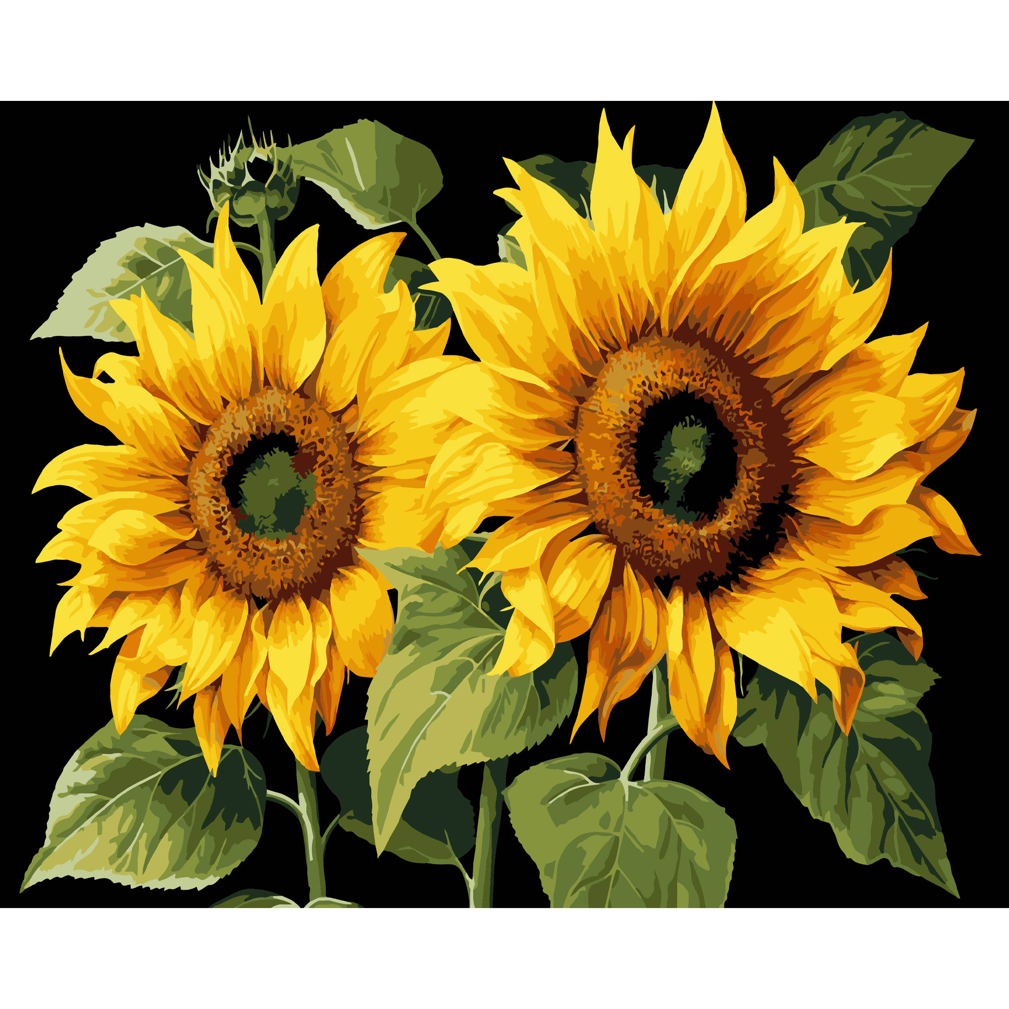 Картина за номерами ПРЕМІУМ Золото літа на чорному фоні