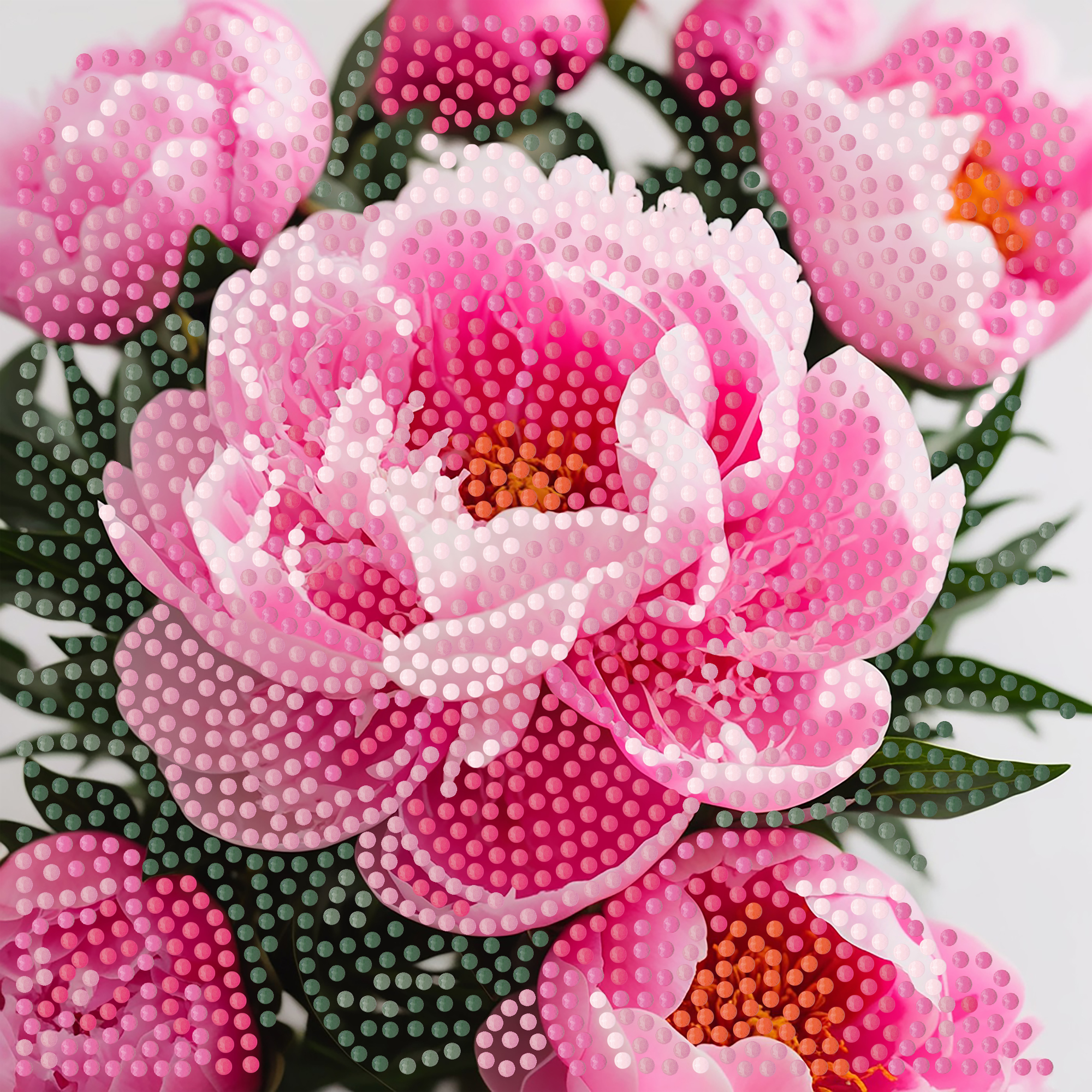 Алмазна мозаїка ПРЕМІУМ Свіжість на паперовій основі