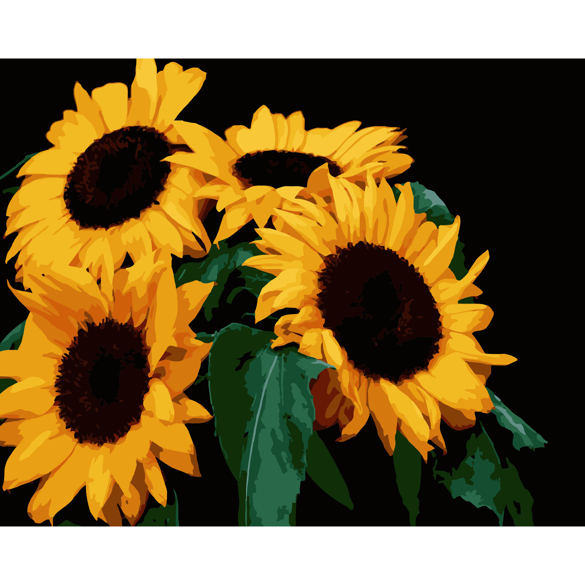 Картина по номерам ПРЕМИУМ Яркие подсолнухи на черном фоне