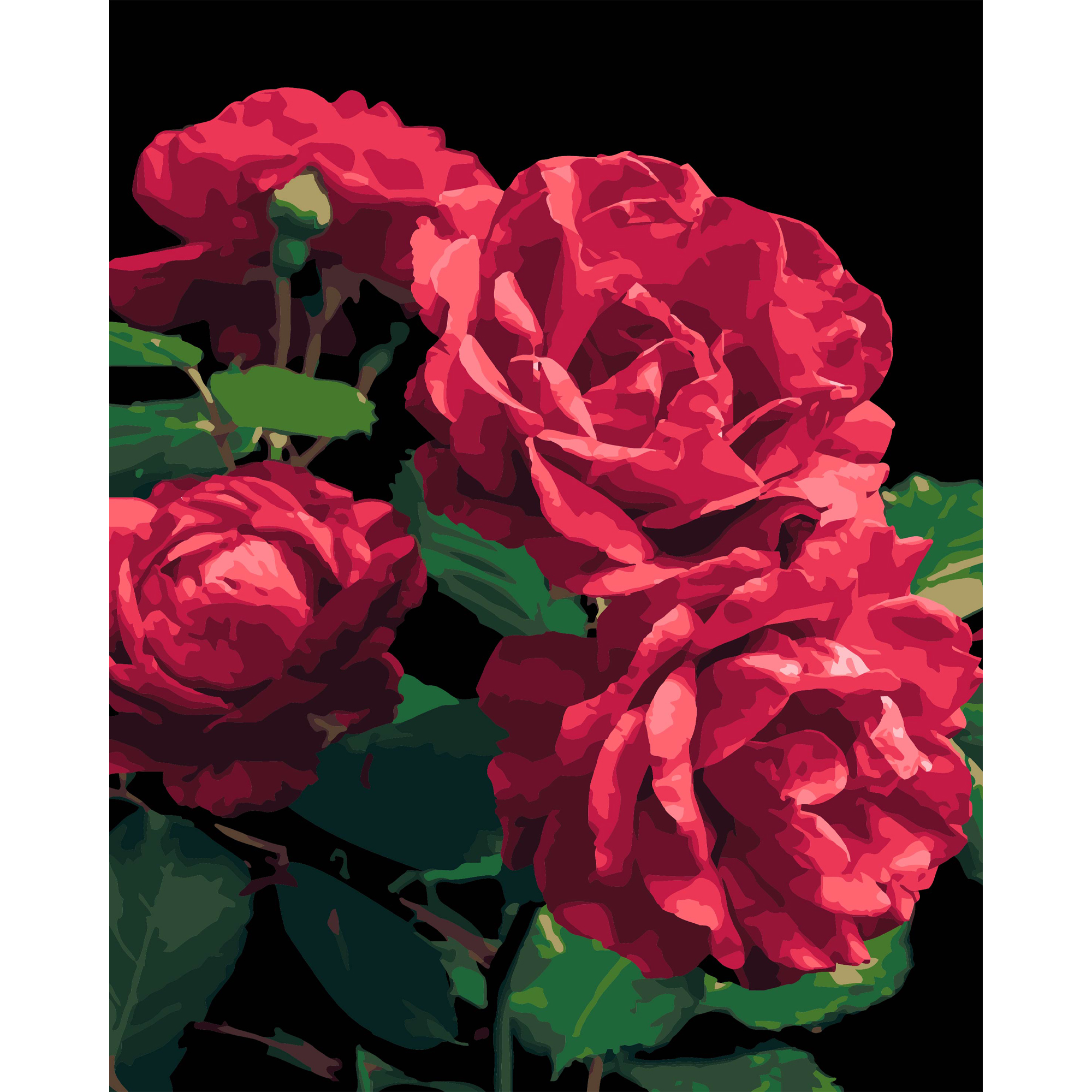 Картина за номерами ПРЕМІУМ Троянди на чорному фоні