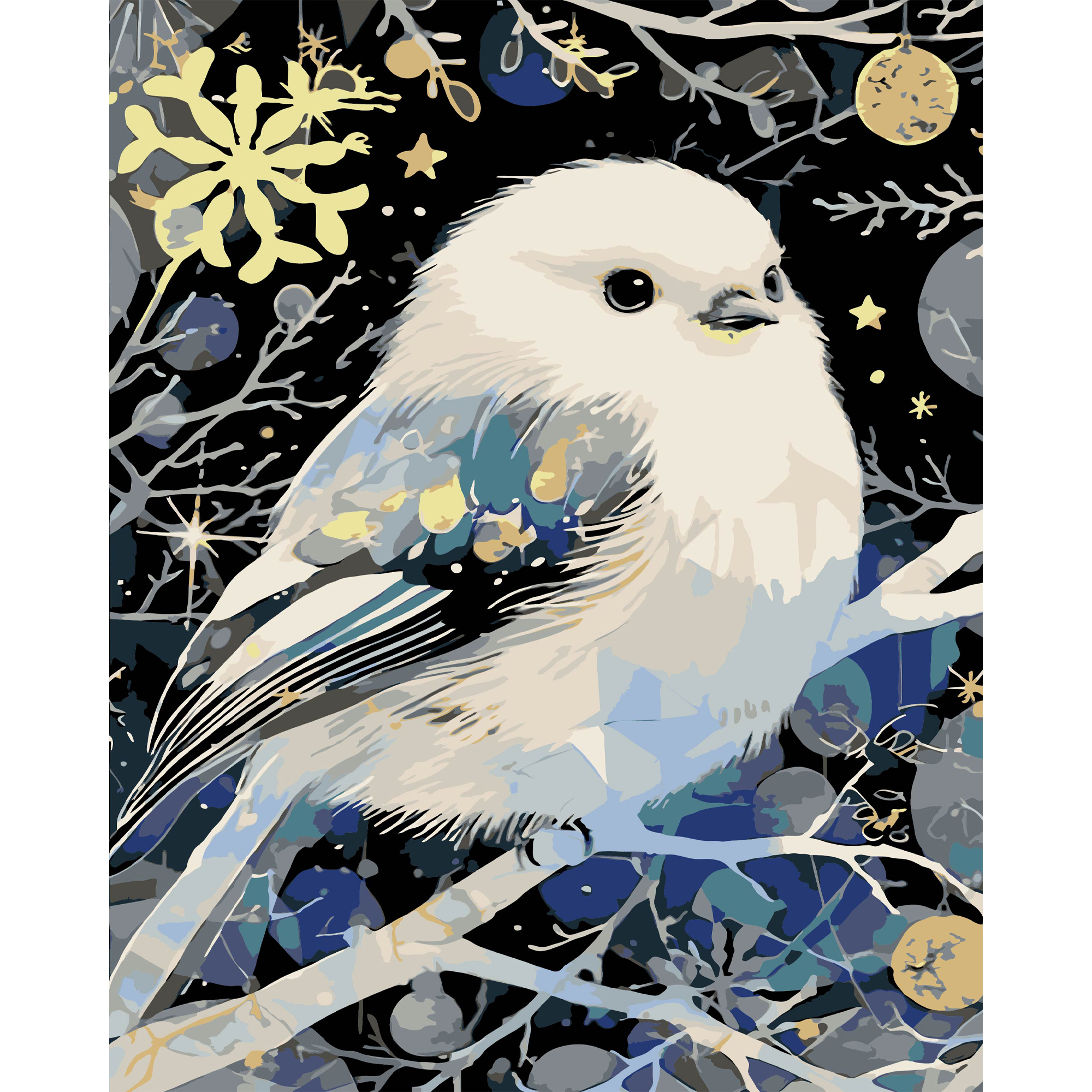 Winter bird on a black background size